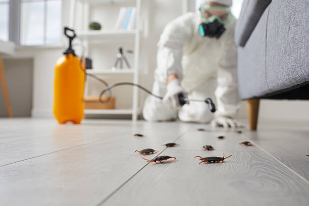 Commercial Kitchen Cockroach Control in Wolf Point